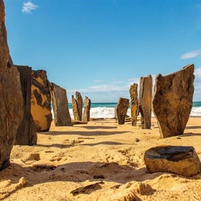 管家婆期期四肖四码中特管家app下载